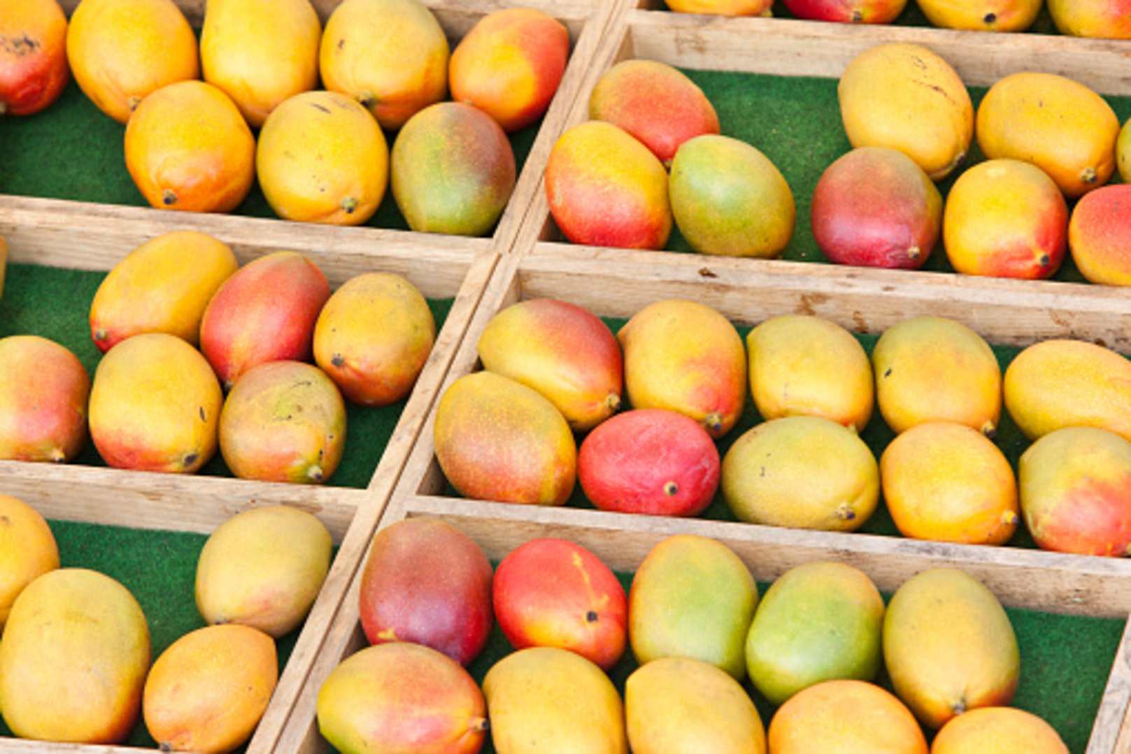 Côte d’Ivoire Aims to Inject New Momentum into Mango Industry Management
